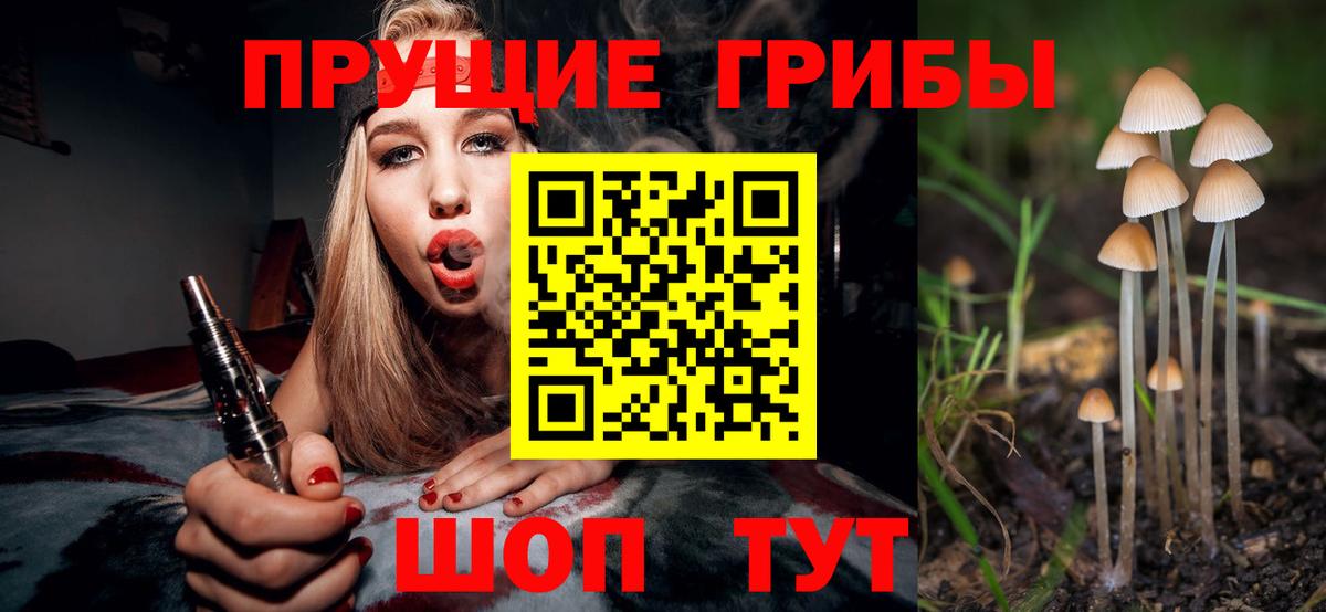 Галлюциногенные грибы ЛСД  где найти   Тверь  Галлюциногенные грибы MAGIC MUSHROOMS  Вход с VPN 